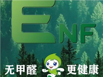 環(huán)保、健康、耐用、美觀的寰宇ENF級(jí)板材是您值得信賴(lài)的家居材料